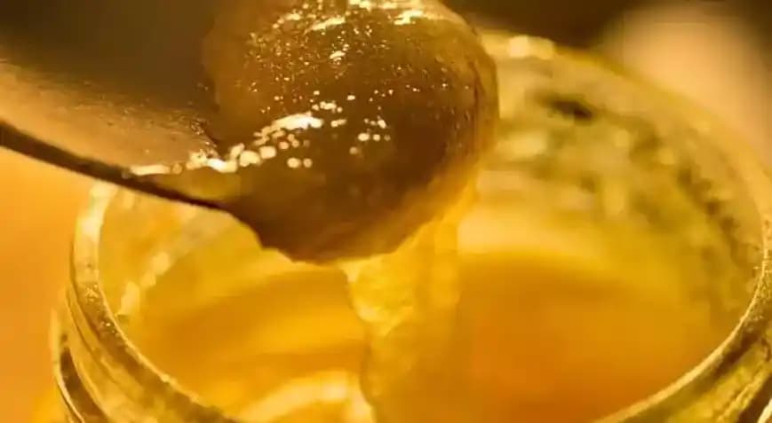 Arı Sütü Zararları: Mevcut Bilgi Eksikliği ve Sağlık Riskleri Üzerine Analiz