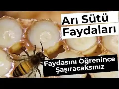 Arı Sütünün Yan Etkileri ve Kullanımda Dikkat Edilmesi Gerekenler: Bilimsel Yaklaşım