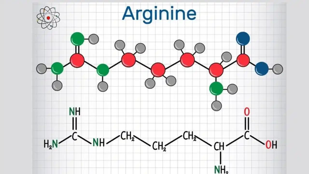 Arjininin Yan Etkileri ve Kullanımında Dikkat Edilmesi Gerekenler: Güncel Bilgi Durumu