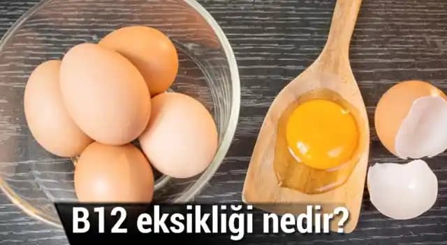 B12 Meyve İfadesi ve E-posta Hesaplarına Giriş: Gmail, Outlook ve Hotmail Yönetimi