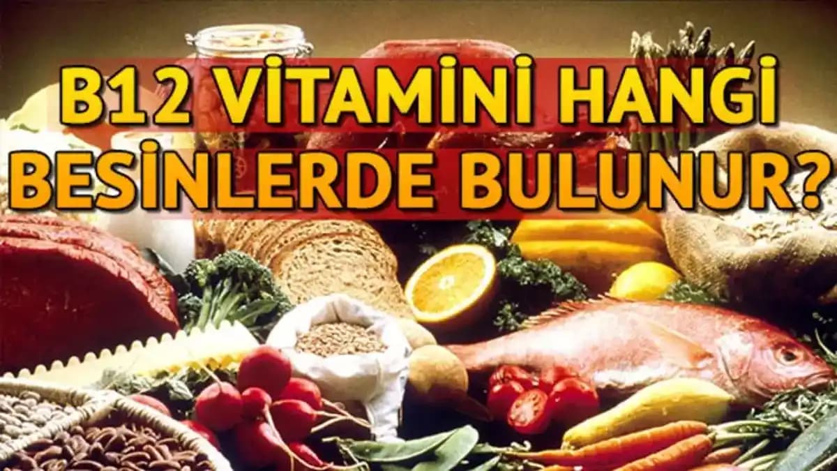 B12 Vitamini ve Bitkisel Kaynaklar: Mevcut Bilgi Durumu ve Beslenme Önerileri