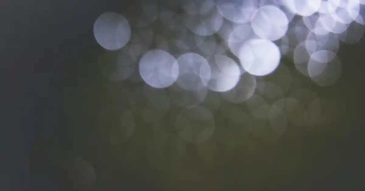 Bağışıklık Güçlendirici Vitamin Markaları Hakkında Arama Sonuçlarının Değerlendirilmesi