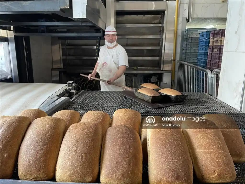 Bartın'da Ekmek Taşı: Geleneksel Taş Fırınlarda Kullanım ve Bilgi Eksikliği