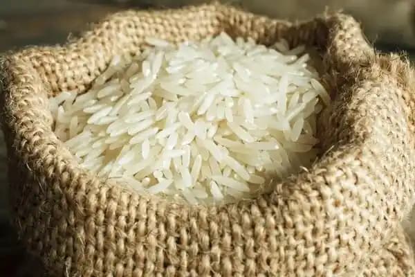 Basmati Pirinci Yetişme Bölgeleri ve Özellikleri Hakkında Genel Bilgi