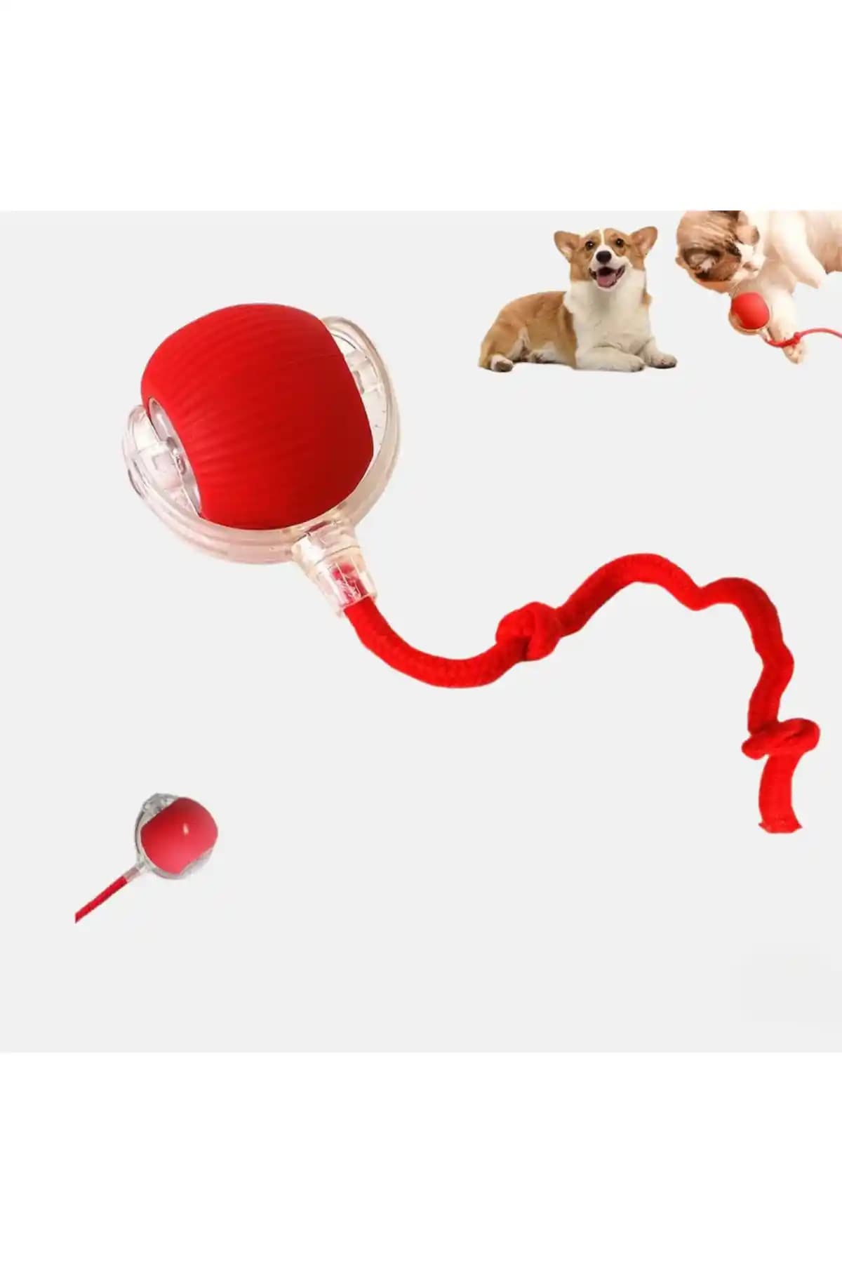 BEYZANA Yeni Nesil Hareketle Aktifleşen Sensörlü Kedi Köpek - Renkli Dayanıklı Tasarım