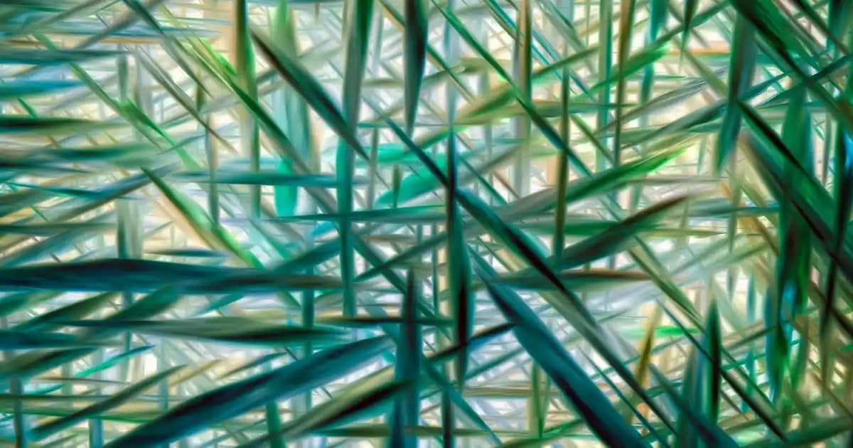 Doğal Yoğurt Mayası: Evde Yoğurt Yapımında Temel Özellikler ve Kullanım Alanları