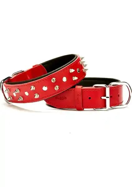 Doggie Konforlu El Yapımı Çivili Tasma ve Turuncu Yumuşak Dokulu Kolon Köpek Tasması