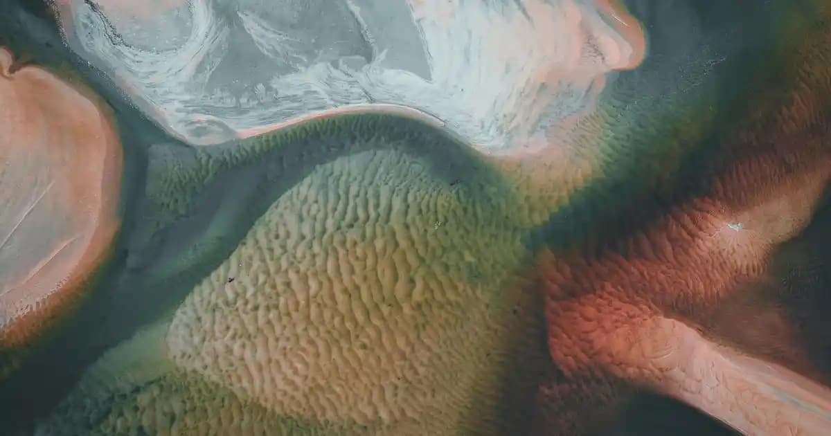 Dondurulmuş Orman Meyveleri: Özellikleri, Kullanım Alanları ve Pratik Bilgiler