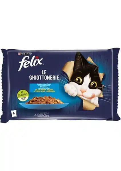 Felix Multipack Somonlu ve Ton Balıklı Yetişkin Kedi Yaş Maması 4x85g – İçerik ve Beslenme