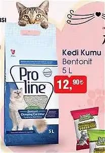 Guanábana, Guayaba ve Domates Karışımı: Sağlık Destekçisi Besleyici Smoothie Tarifi