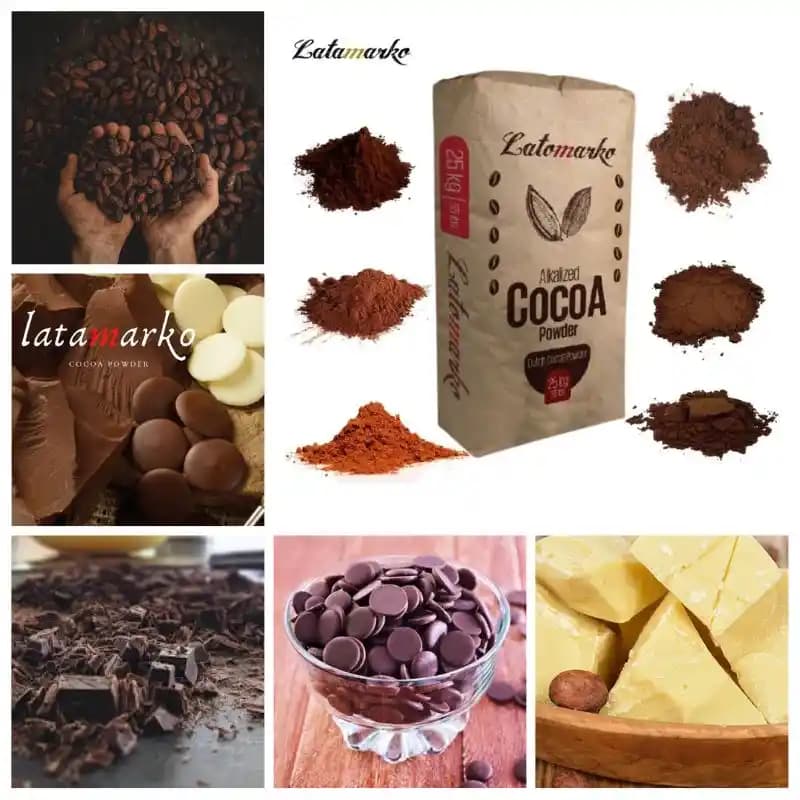 Kakao Markası Seçiminde Bilgi Eksikliği ve Doğru Tercih İçin Önemli Kriterler