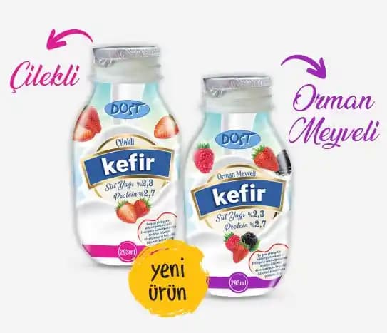 Kefir Çeşitleri ve Özellikleri: Arama Sonuçları Işığında Genel Bir Değerlendirme