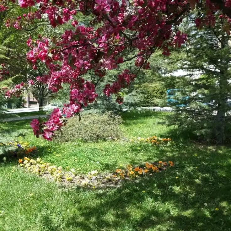 Koru Sitesi ve Migros Arasındaki İlişki: Arama Sonuçlarına Dayalı Kapsamlı İnceleme