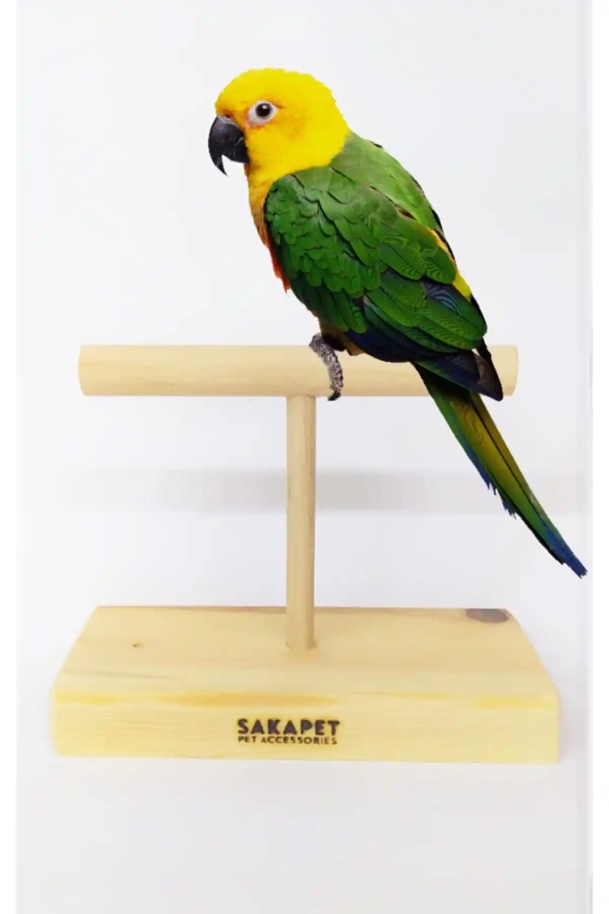 Kuş Eğitimi İçin Doğal Ahşap El Yapımı Tünek: Güvenli ve Odaklı Alıştırmayı Destekler