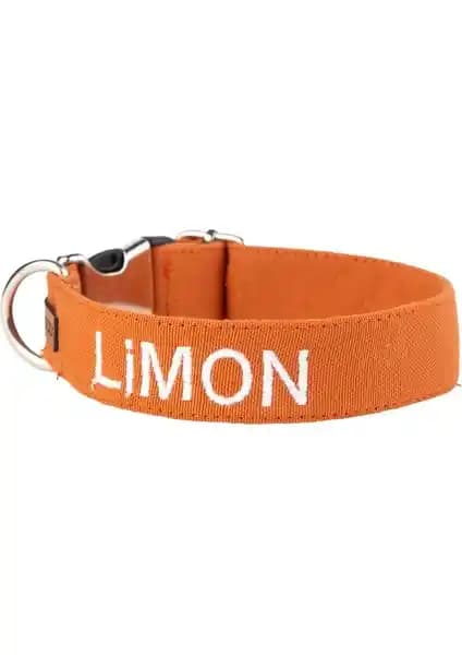 Lusi Doog Kişiye Özel Nakışlı Köpek Tasması vs Tasma Market Büyük Irk Kolon Tasması