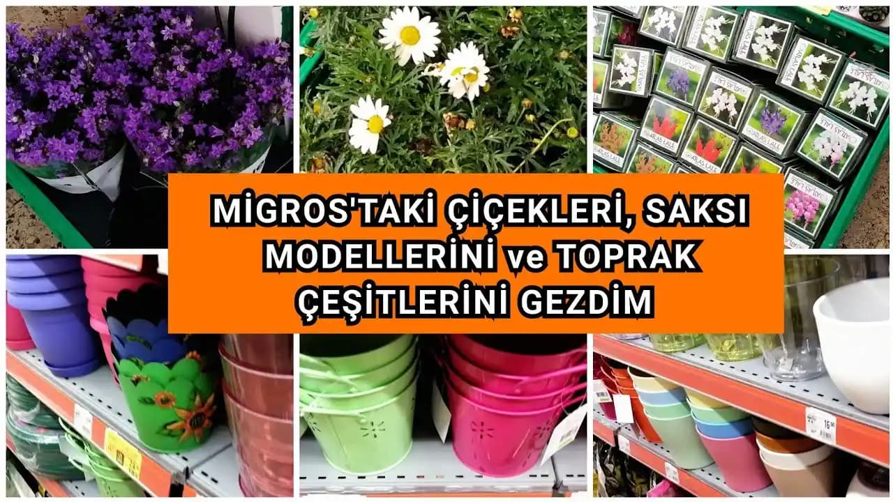 Migros Saksı Ürünleri ve Ev-Bahçe Ürünlerinde Doğru Seçim Kriterleri