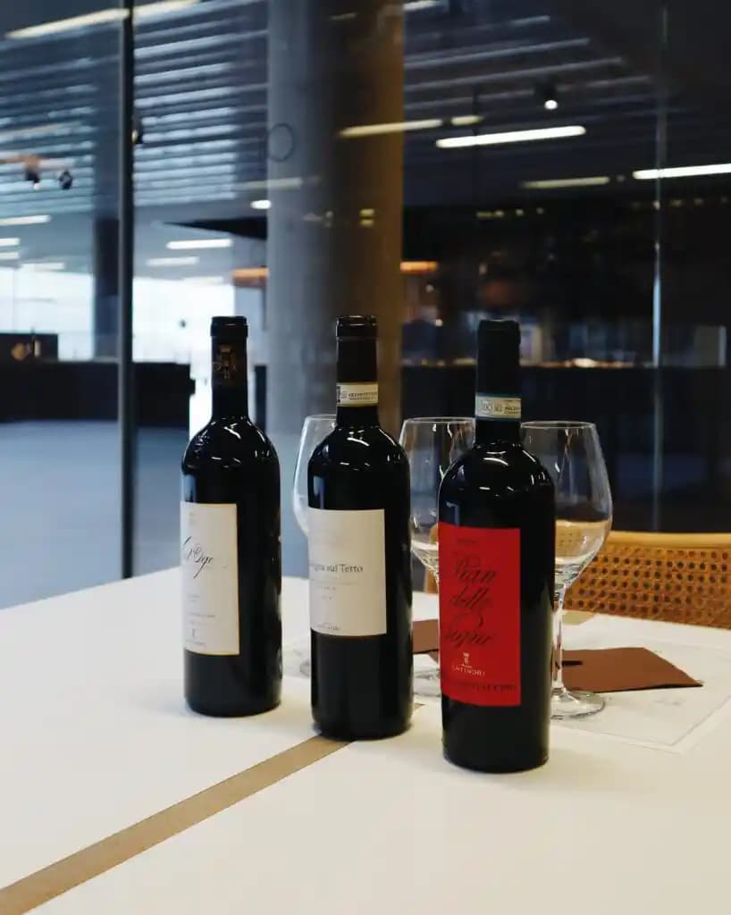 Migros'ta İtalyan Şarapları: Çeşitlilik ve Kalitede Geniş Seçenekler Sunumu