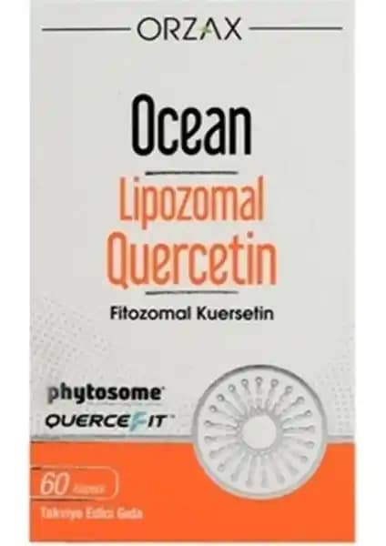 Ocean Lipozomal Quercetin: Mevcut Bilgi Durumu ve Dijital İçerik Analizi