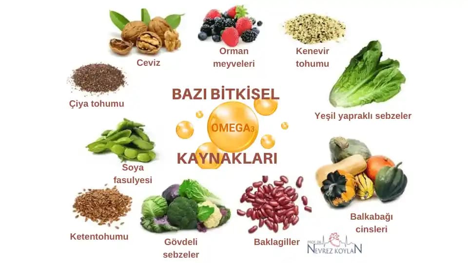 Omega 3 Yağ Asitlerinin Bitkisel Kaynakları ve Arama Sonuçlarının Değerlendirilmesi