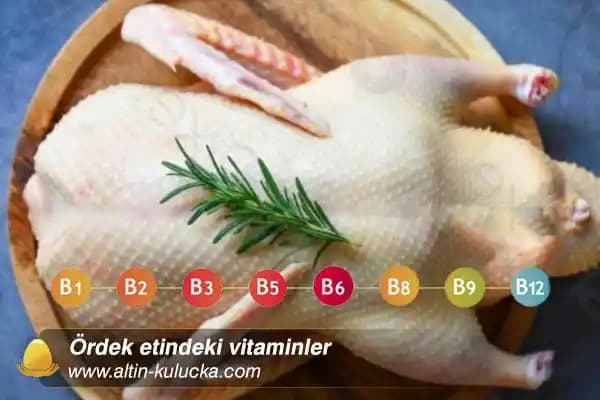 Ördek Etinin Besin Değerleri, Faydaları ve Sağlık Açısından Dikkat Edilmesi Gerekenler