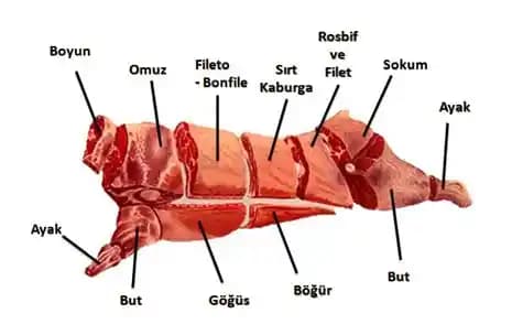 Otomatik Fermentasyon Sendromu: Alkol Tüketmeden Sarhoşluk Belirtileri ve Klinik Önemi