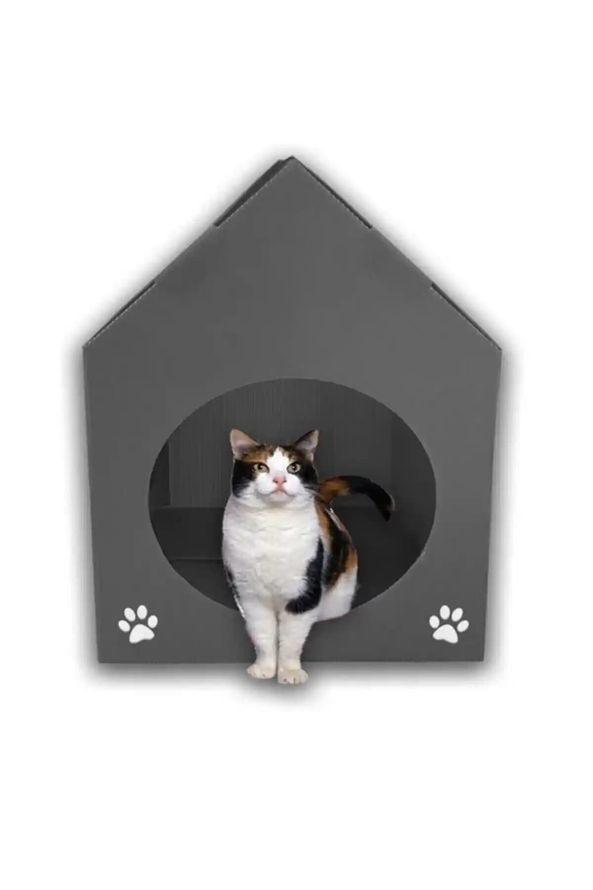 Özekim 3'lü Plastik PP Kedi Kulübesi Seti: Taşınabilir, Kolay Montajlı İç Kullanıma Uygun