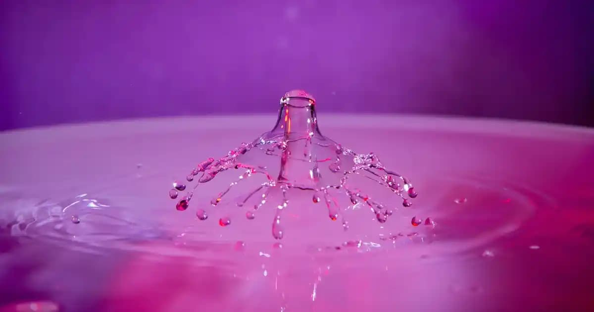 Phoenix AZ Solo Kulübü: Autocross Tutkunları için Dinamik Yarış ve Üyelik Deneyimi