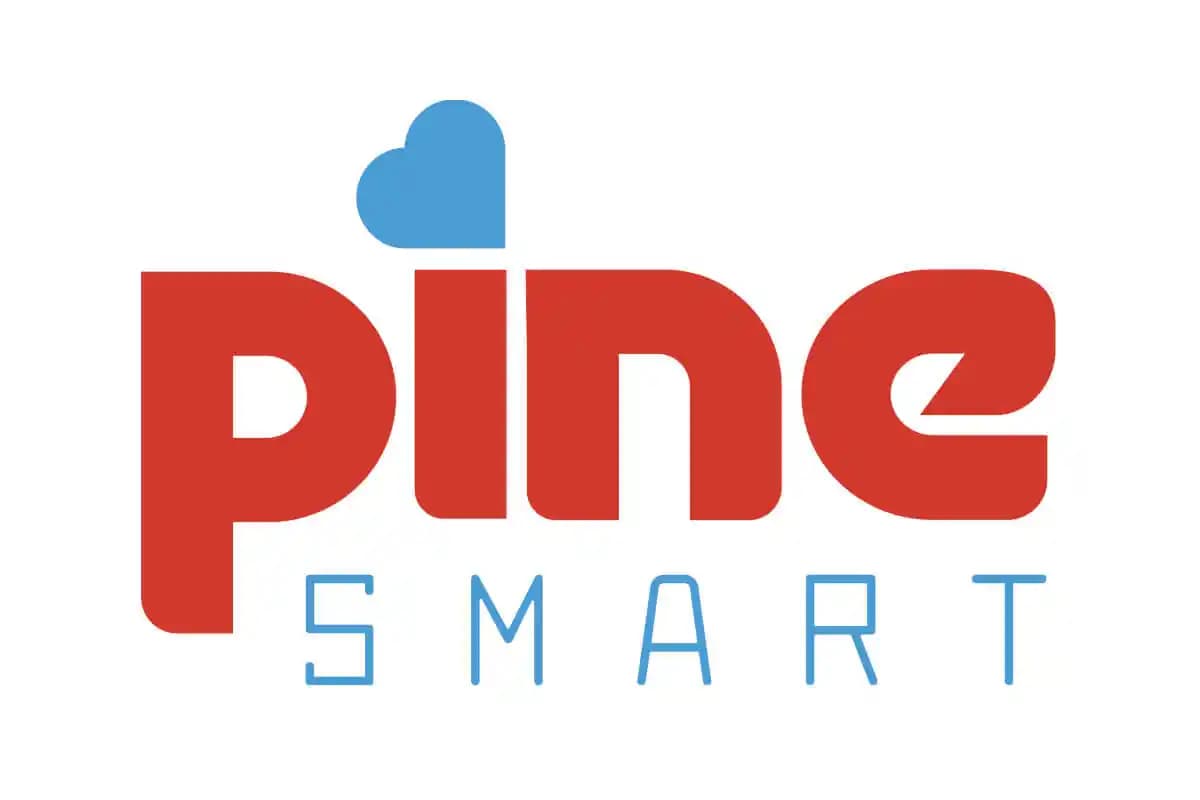 Pine Smart Bez Hakkında Arama Sonuçları ve Bilgi Eksikliği Üzerine Değerlendirme