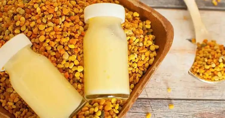 Polen ve Arı Sütünün Sağlığa Faydaları: Bağışıklık, Enerji ve Cilt Sağlığı Üzerindeki Etkileri