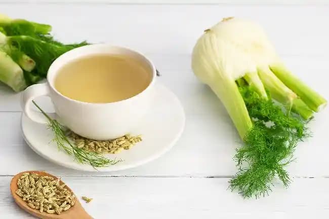 Rezene Çayının Yan Etkileri ve Mevcut Bilgi Durumu Üzerine Güncel Değerlendirme