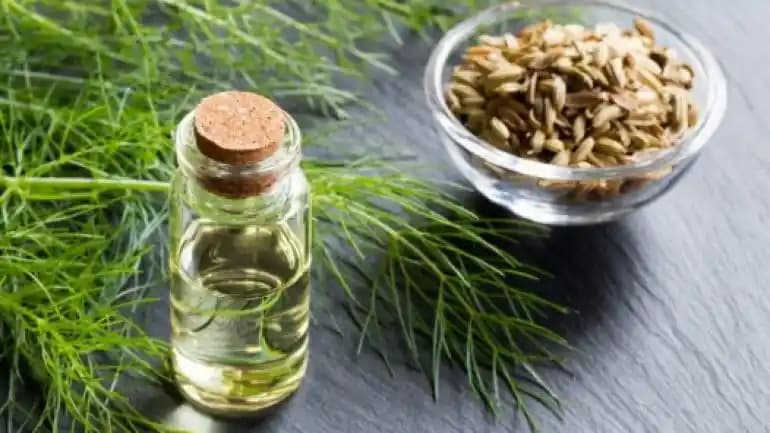 Rezene Yağının Cilt Bakımındaki Potansiyel Etkileri ve Kullanım Alanları