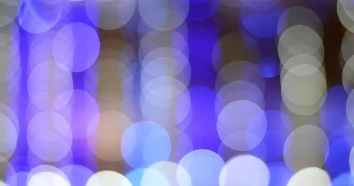 Soya Fasulyesi: Protein Zengini Bitkisel Kaynak ve Kullanım Alanları Hakkında Genel Bilgi