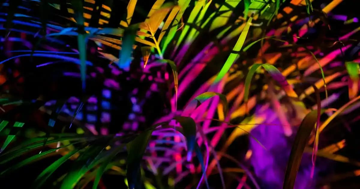 Sprey Krem Şanti: Pratik ve Hızlı Kullanım için Hazır Tatlandırıcı Ürünler