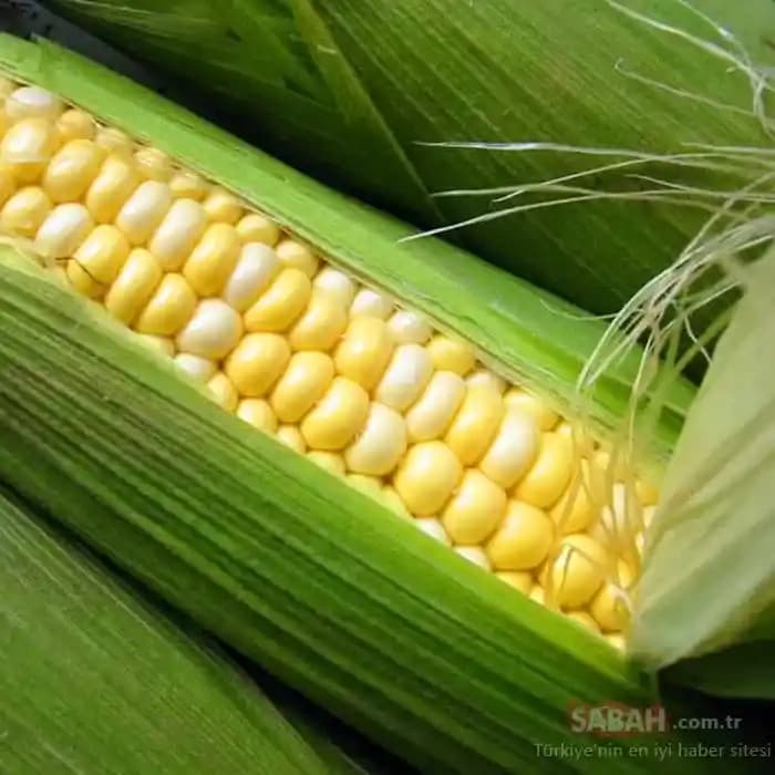 Süt Mısırının Besin Değerleri ve Potansiyel Sağlık Faydalarının Kısa Analizi