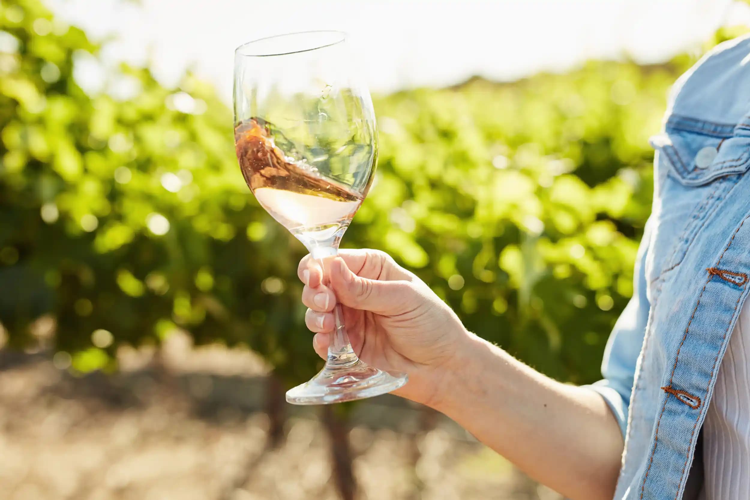 Tatlı Şarap Çeşitleri ve Özellikleri: Genel Bilgiler ve Kullanım Alanları