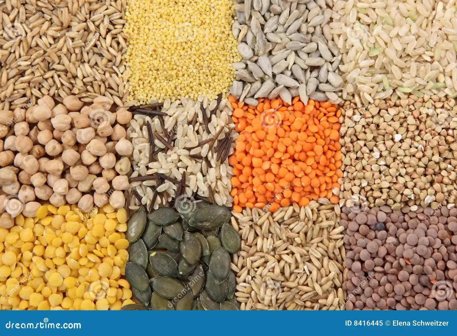 Tohum Taneleri Arama Sonuçları ve İçerik Uygunluğu Üzerine Analiz