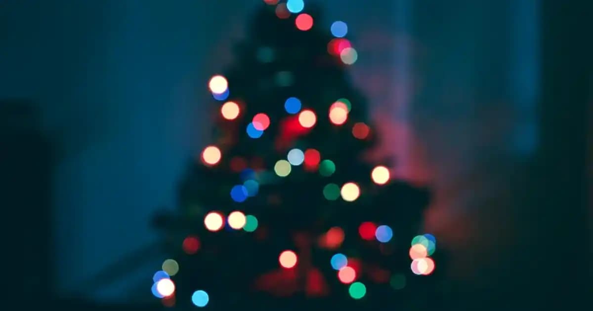 Ton Balığı: Yüksek Protein İçeriği ve Beslenmedeki Önemi Hakkında Bilgi