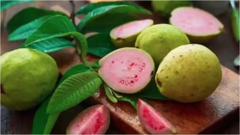 Türkiye'nin Bölgesel İklim ve Toprak Yapısına Göre Meyve Yetiştiriciliği Analizi