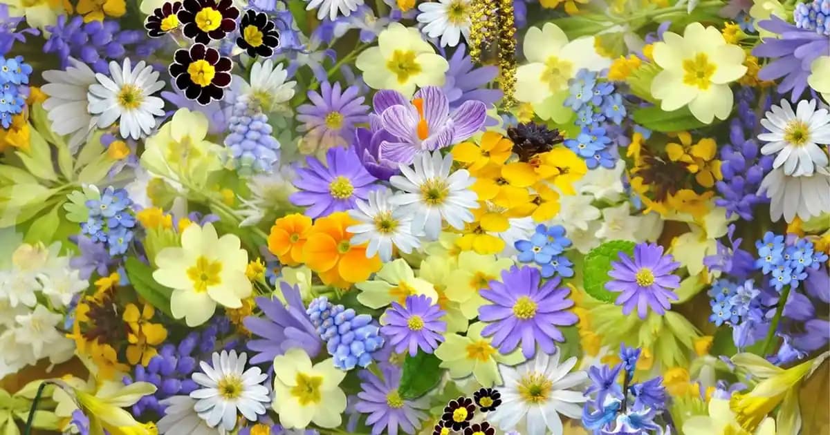 Tuzot İçindekilerinin Mevcut Durumu ve İçerik Analizine Yönelik Değerlendirme