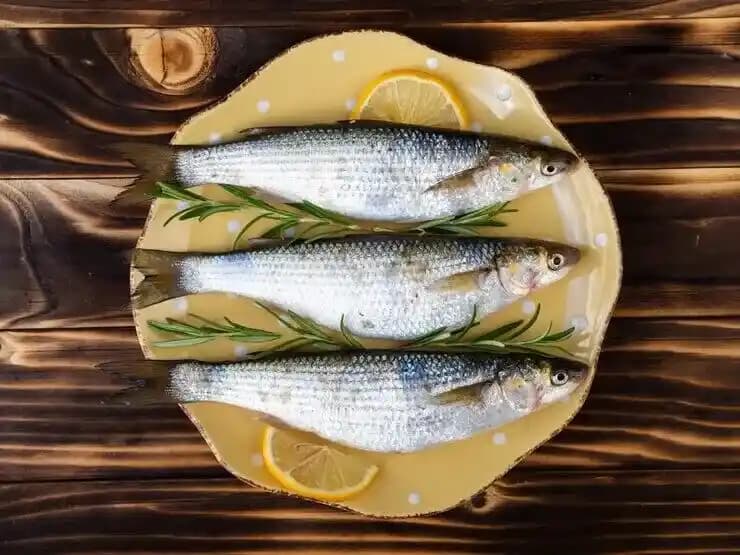 Uskumru Balığının Sağlığa Faydaları ve Besin Değerleri Üzerine Kapsamlı İnceleme