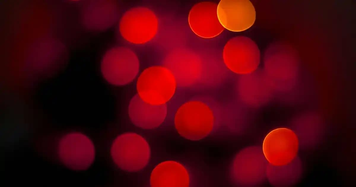 Venus Jilet A101 Arama Sonuçları ve Çevrimiçi PDF Dönüştürme Araçları İncelemesi