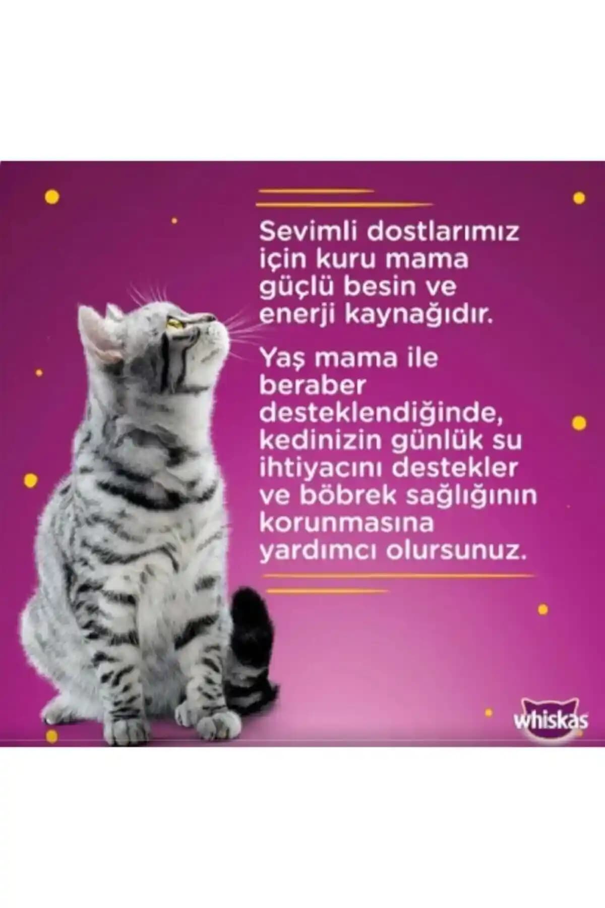 Whiskas Ton Balıklı Konserve Kedi Maması Yetişkin Kediler İçin 12 x 400 g Ambalajlı