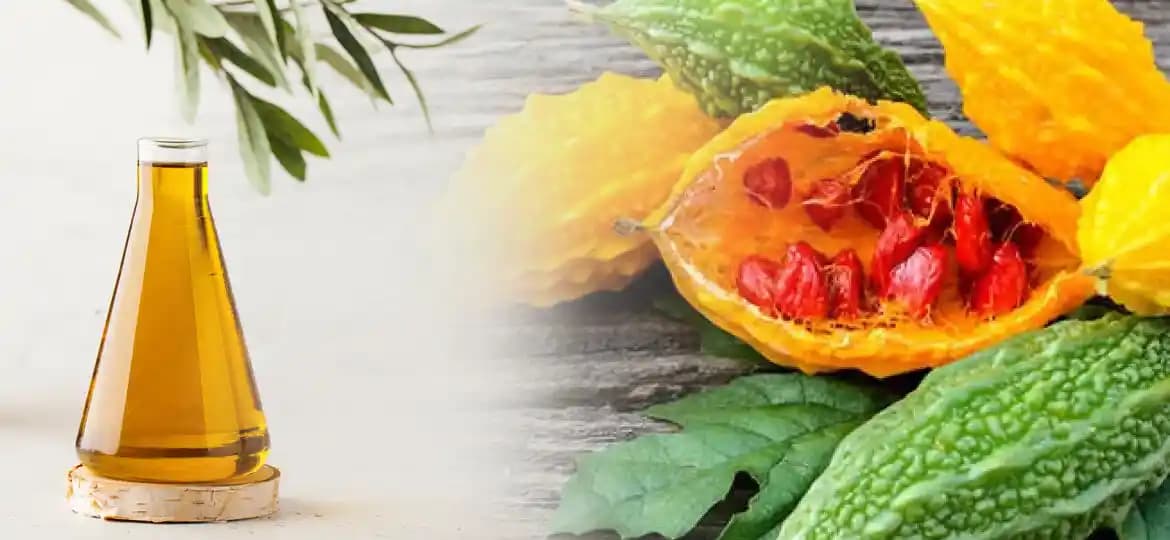 Zeytinyağlı Kudret Narı Yağı Faydaları ve Mevcut Bilgi Durumu Üzerine Değerlendirme