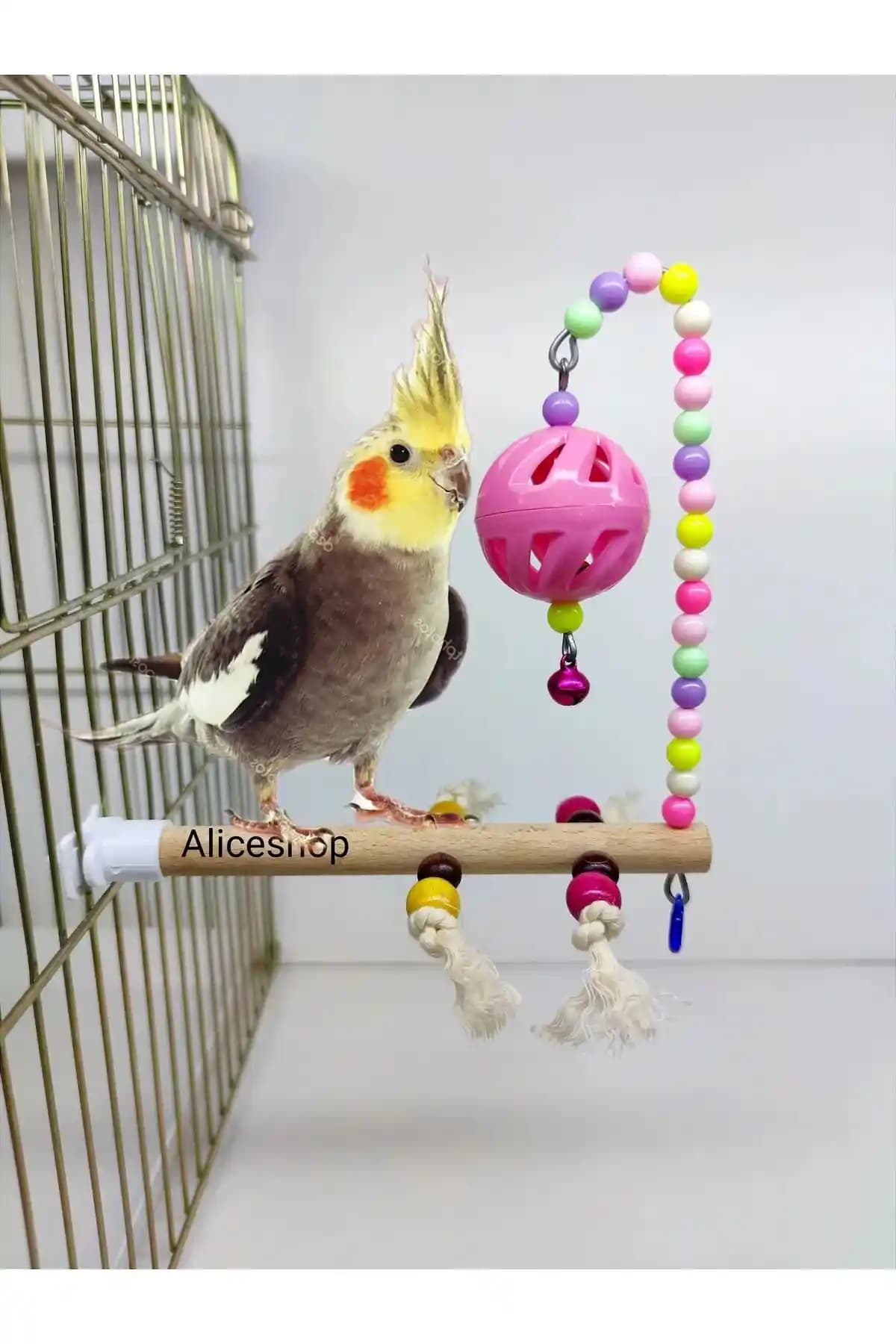 Kuş Tünellerinin Karşılaştırması: Alice Sultan Sevda ve NotreMondePet Ürünleri Analizi