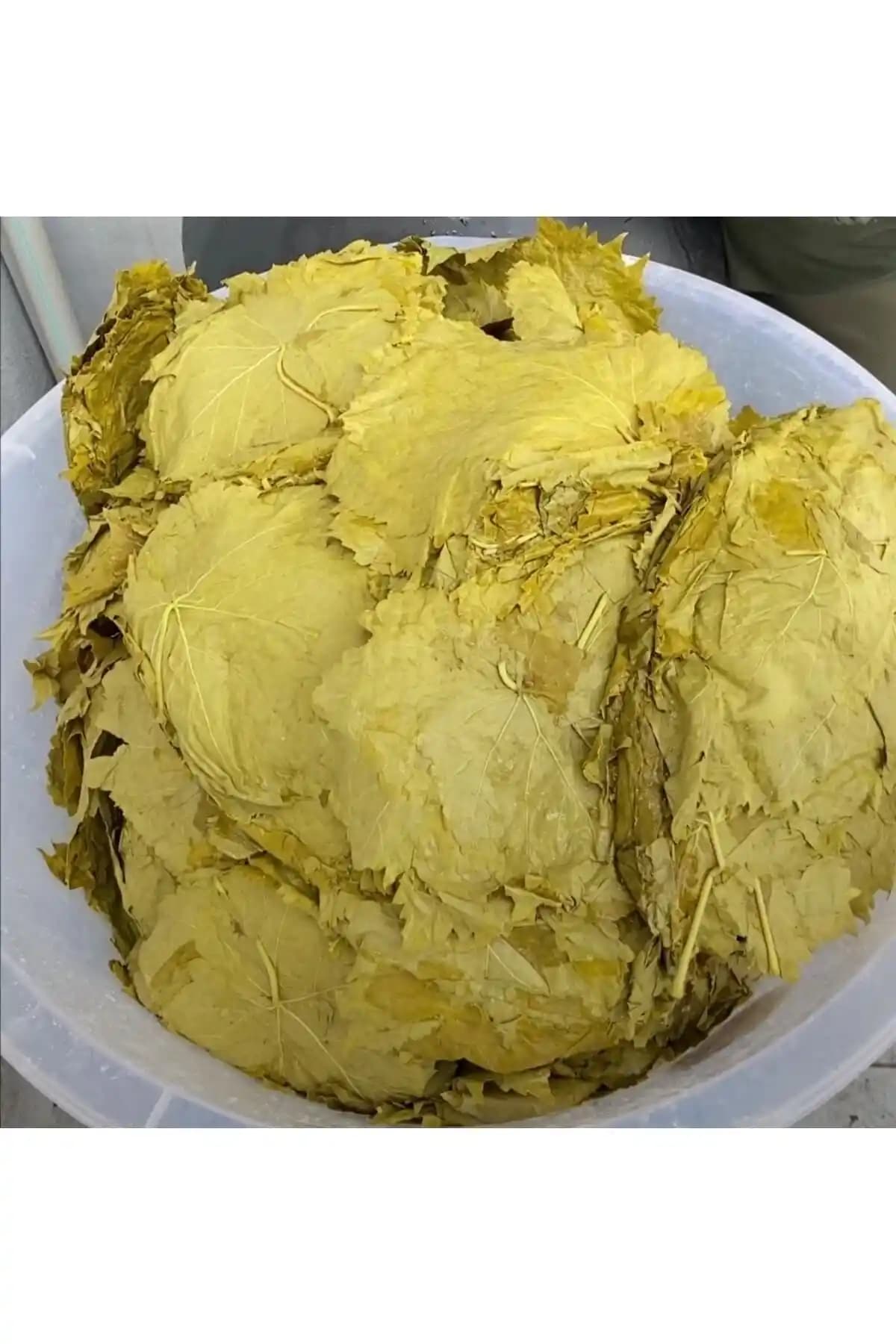 Manisa Turgutlu ve Üzüm Atölyesi Salamura Yaprakları Karşılaştırması