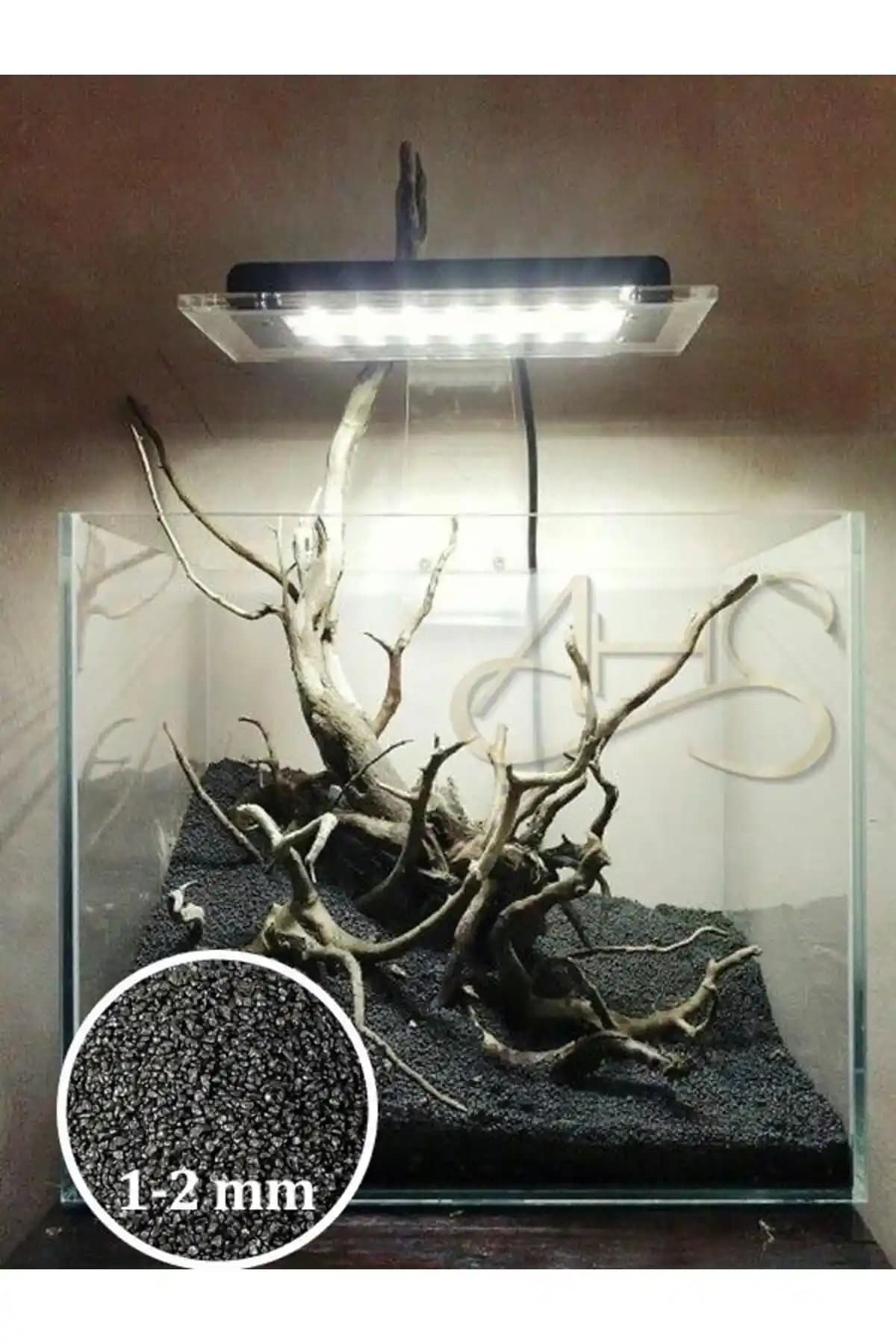 2025'te Akvaryumunuzda Devrim Yaratacak Siyah Bitki Kumu ile Tanışın