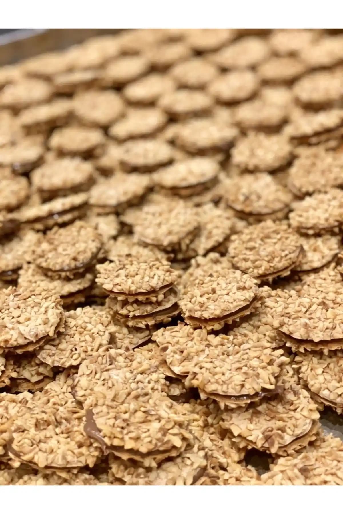 ALPAK Japon Kurabiyesi: Lezzetli ve Kaliteli Japon Atıştırmalığı Ürün Tanıtımı