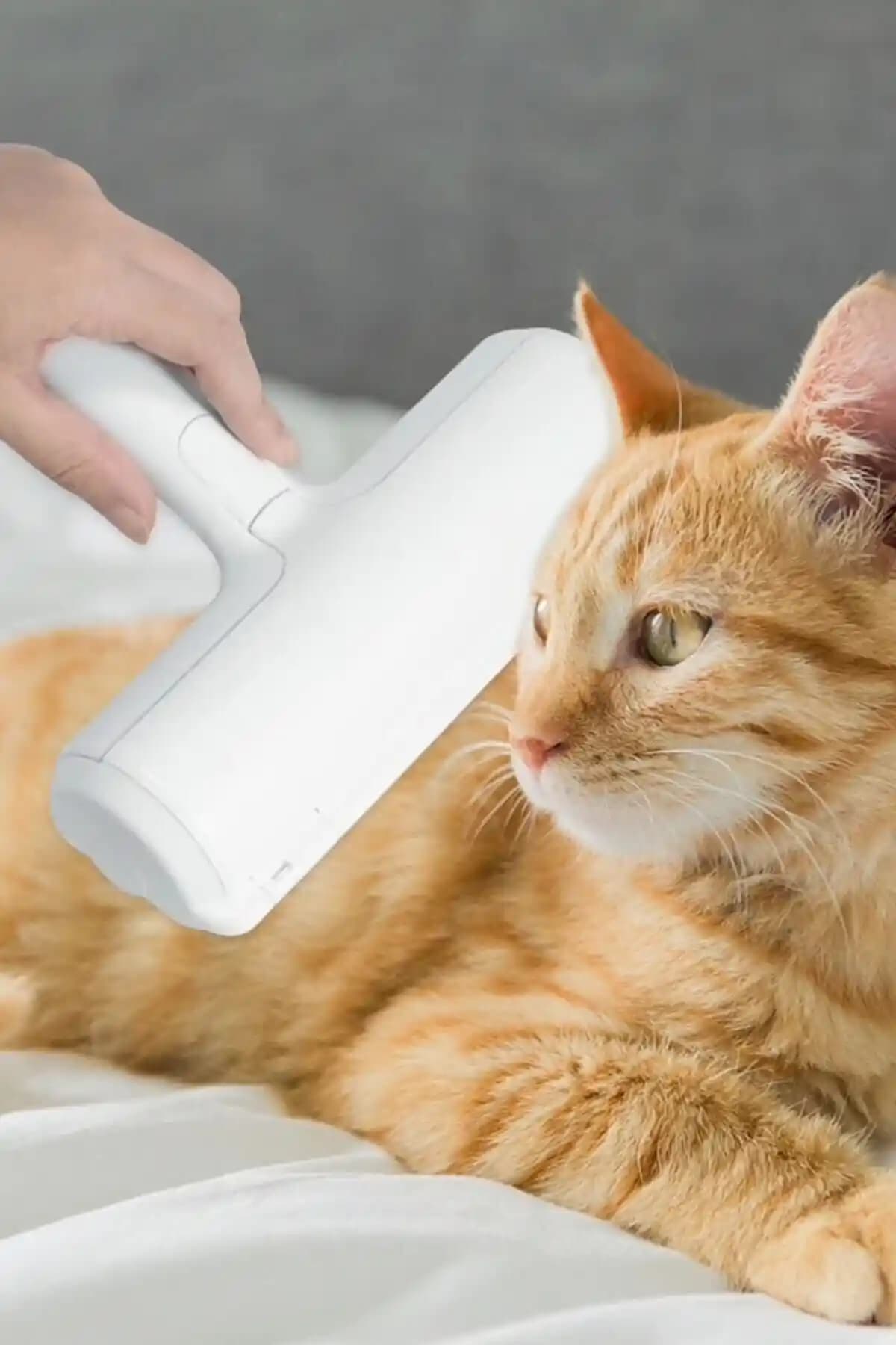 Buffer Hazneli ve Kacar Kitchen Tüy Temizleyicilerin Karşılaştırması