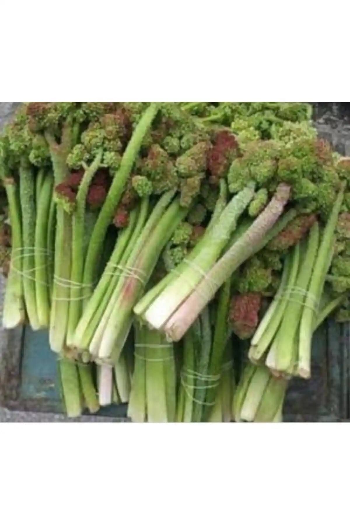 Erzurum İpekgurme Işkın Otu 1 Kg Doğal ve Yöresel Bitkisel Ürün