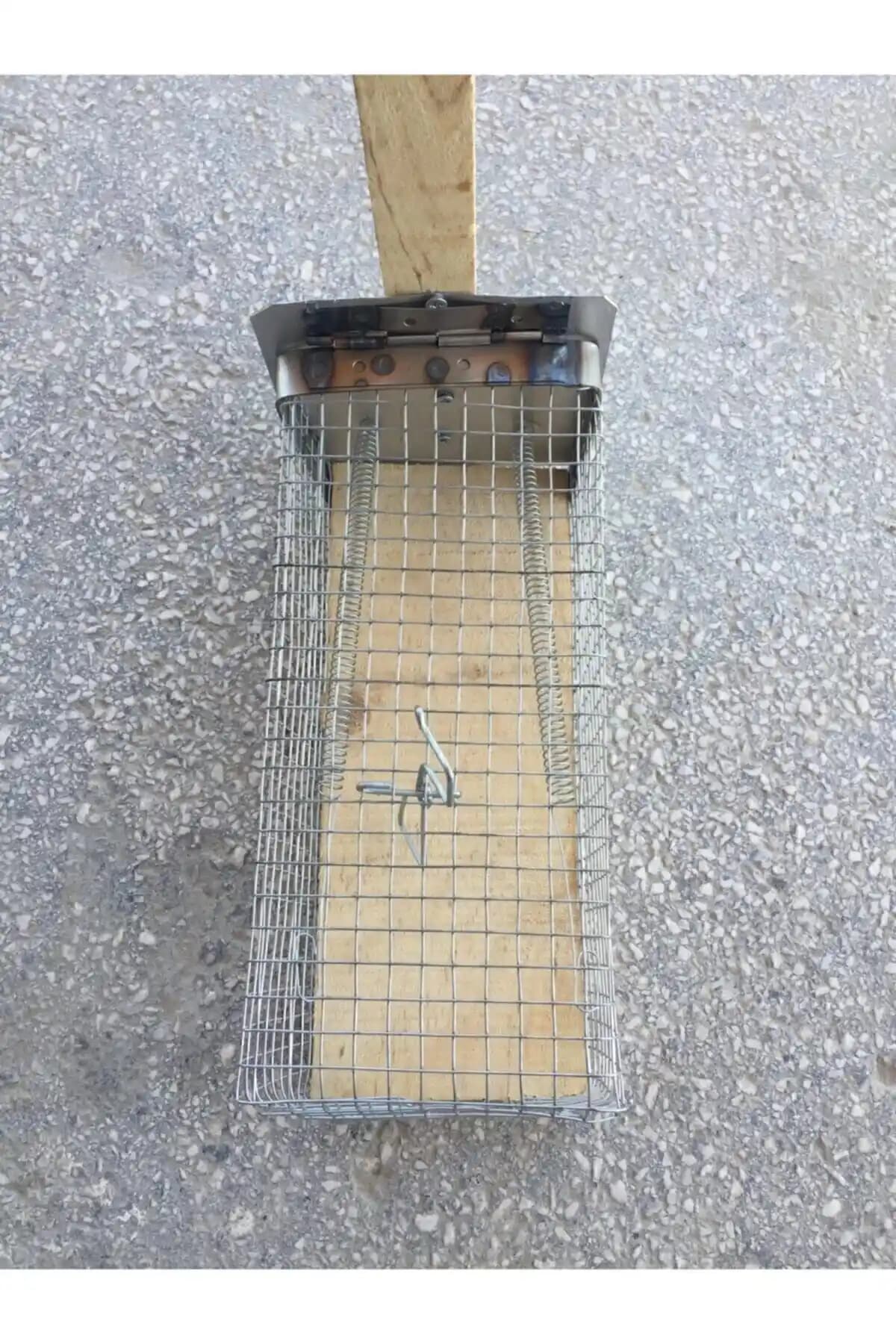 Fare Yakalama Ürünleri Karşılaştırması: Farel ve proplatin modelleri hakkında detaylı bilgi